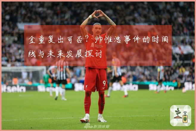 金童复出可否？帅惟浩事件的时间线与未来发展探讨
