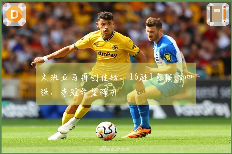 文班亚马再创佳绩，16胜1负横扫四强，夺冠希望蹿升